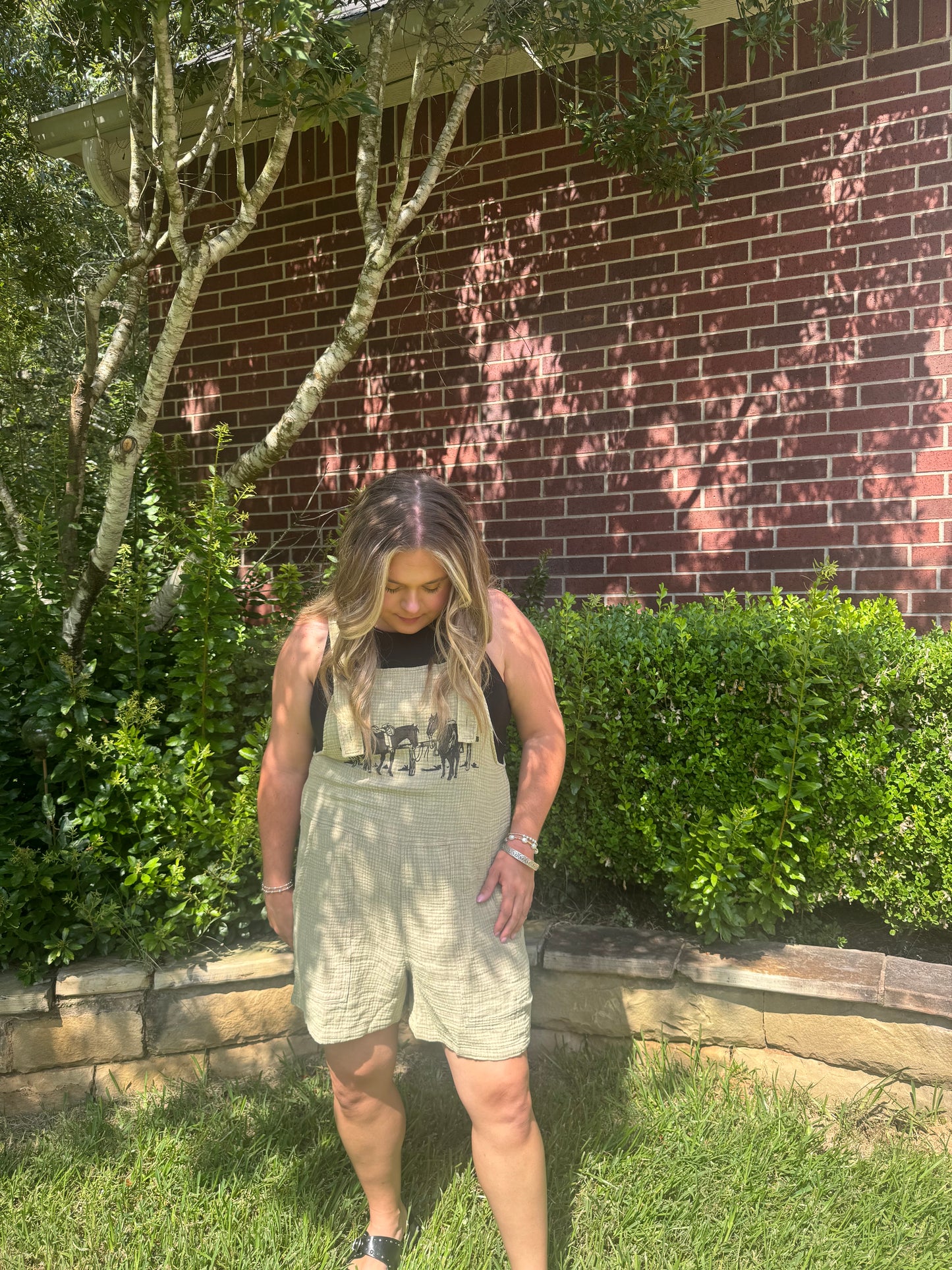 Fence Chats Romper