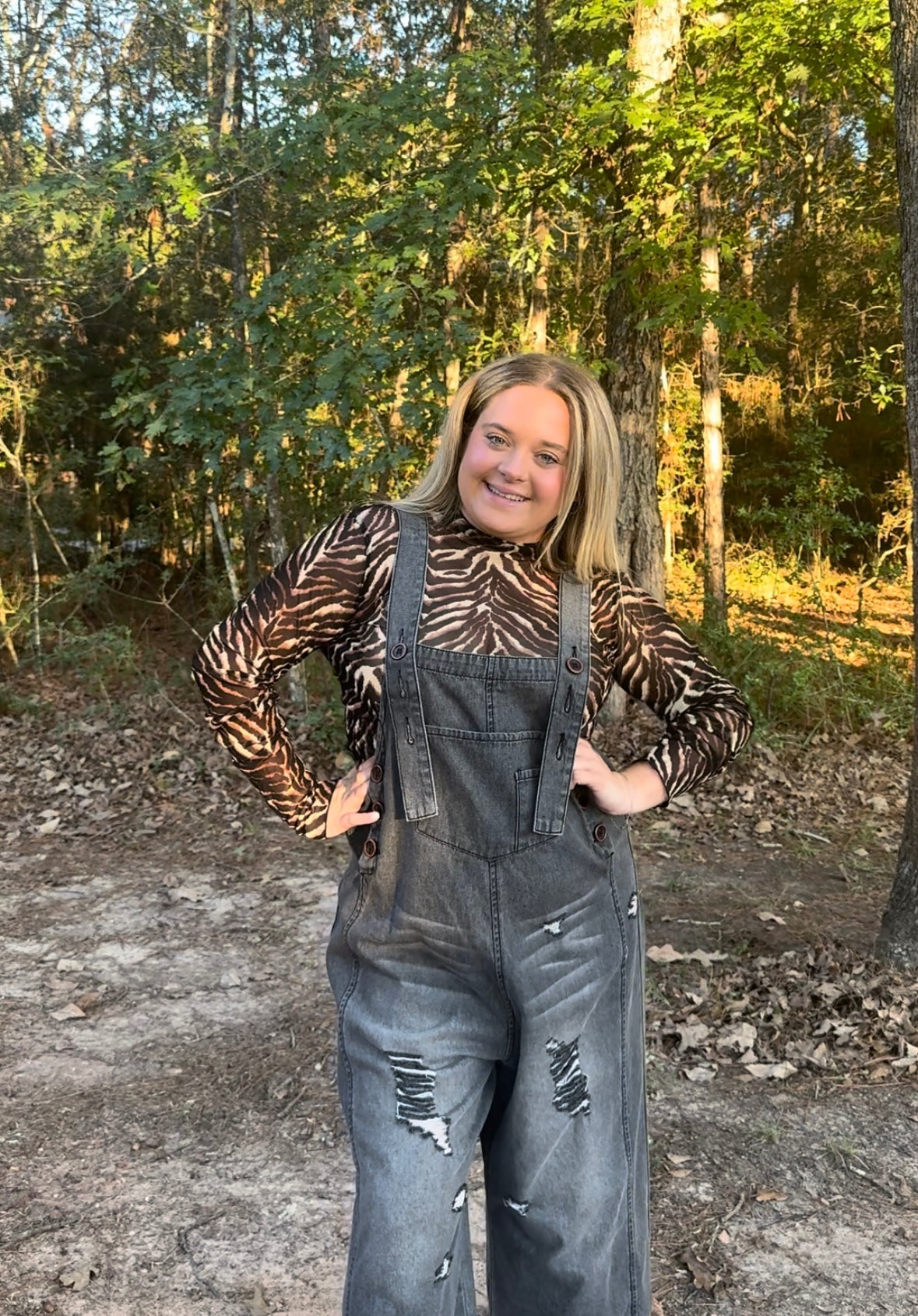 Zebra Sheer Top